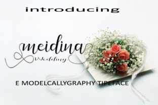Meidina: A Handwritten Script Font Review for Modern Branding