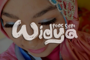 Widya Script Amp: A Designer’s Honest Review