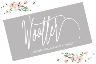Wootter Script Amp Review: A Designer’s Take on Real-World Use